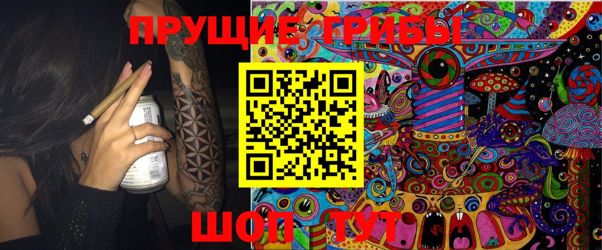 Галлюциногенные грибы MAGIC MUSHROOMS  как найти   Ульяновск  Вход с VPN 